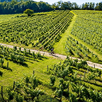 Tour du Jura Vélo Loisirs – Option Gravel : Port-Lesney – Poligny - PORT-LESNEY