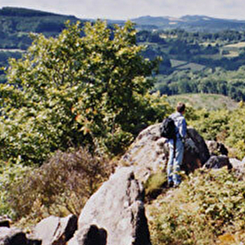 Balades et randonnées à pied en Morvan - SAINT-BRISSON