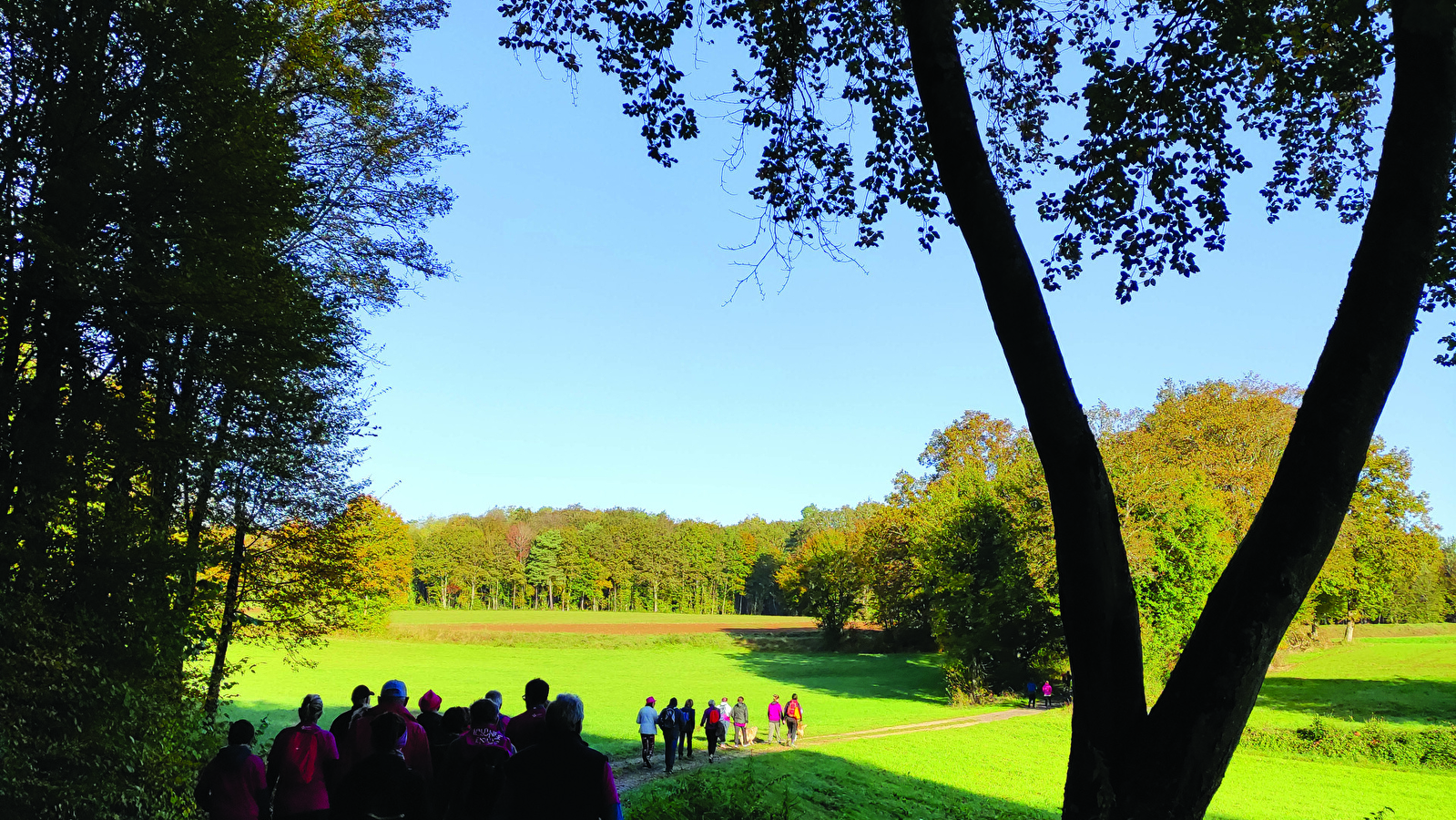 Trail des dolines - Version 9 km