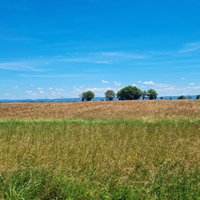 Circuit VTTAE n°13 (rouge) - Les chemins de St Jean