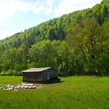 La Ferme de la Maison du Bois - MONNET-LA-VILLE