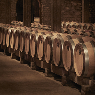 Dégustation Exception Grand Cru - Manoir des Parcellaires de Saulx