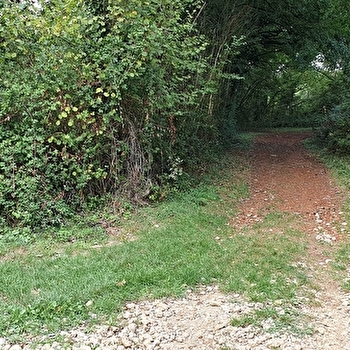 Randonnée - Revonnas, Brame Chèvre et la montagne Noire - REVONNAS