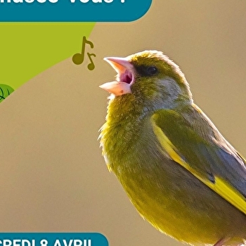 Visite-sortie 'Animusée-vous ! A l'écoute des animaux' - COSNE-COURS-SUR-LOIRE