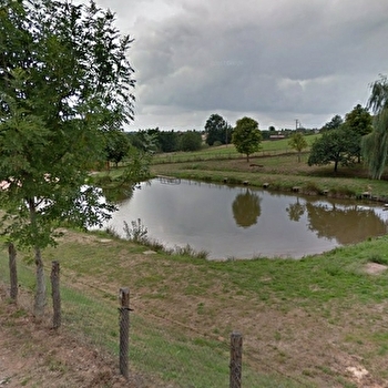 Etang des Traives - SAINT-IGNY-DE-ROCHE