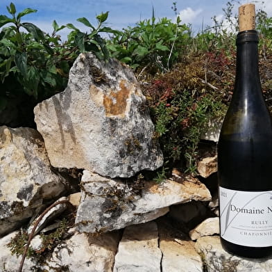Domaine Ninot (Au coeur des vignes de Rully)