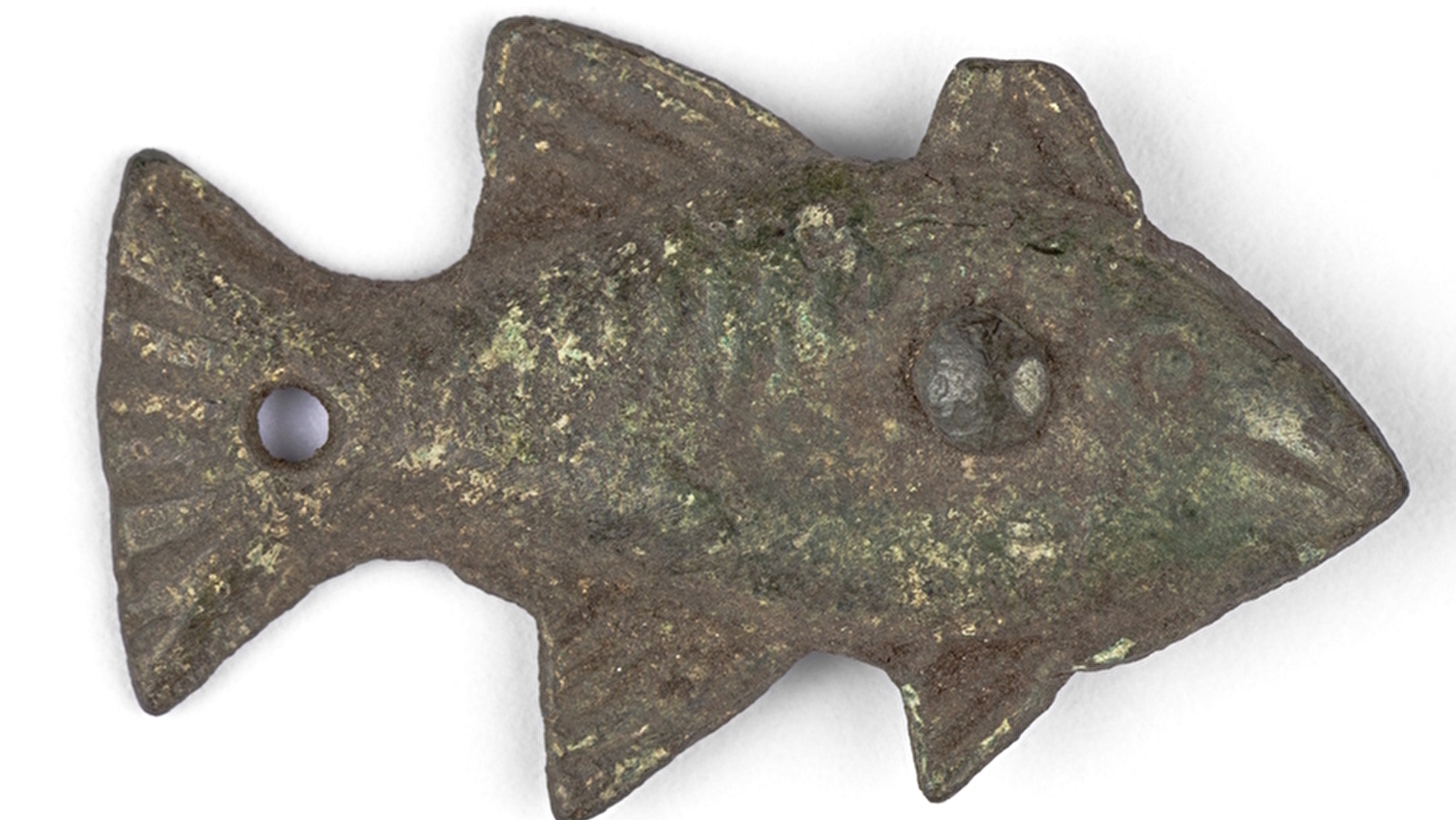 Visite flash spécial poisson d'avril !