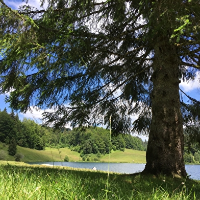 Parcours VTT 69 rouge - Du lac Genin aux bords de Sylans - Espace FFC Ain Forestière