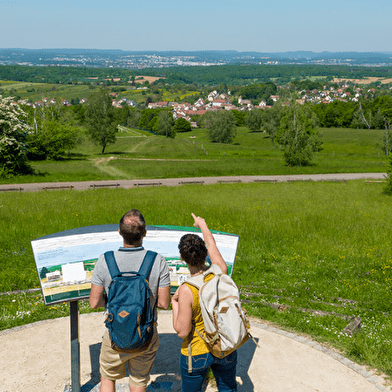 Découverte de Vandoncourt