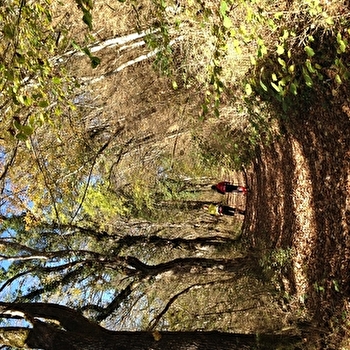 Randonnée pédestre : sentier de Parnaud - ARVIERE-EN-VALROMEY