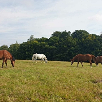 La Ferme du Petit Galop - RADDON-ET-CHAPENDU