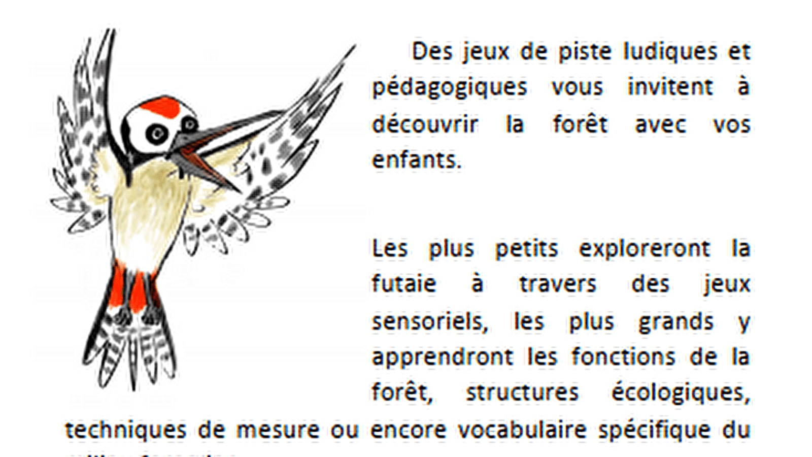 Les Jeux de la forêt - Vic le pic