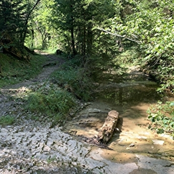 Randonnée - La vallée du Landeyron - MONTREAL-LA-CLUSE