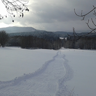 Itinéraire Raquettes du site de Lachat 'Le Golet Sapin'