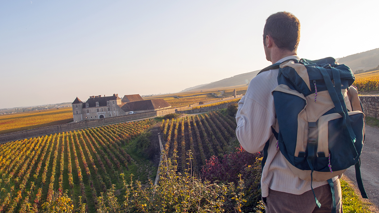 Séjour Vin et Gastronomie - Groupe