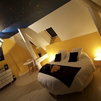 La Vallée des Rêves - LES PREMIERS SAPINS