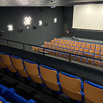 Ciné Foyer - DAMPIERRE-SUR-SALON