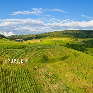 Circuit des Moidons - 13R