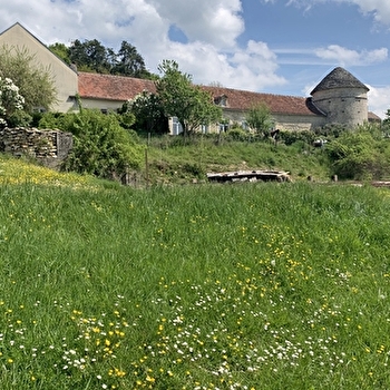 Gîte de la Ferme de Belle Vue - La Côte - FAIN-LES-MOUTIERS