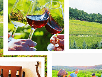 Balade  oeno-sensorielle -découverte  des secrets  vins  de Bourgogne - Couchey
