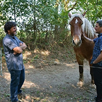 Chevrot et Fils - CHEILLY-LES-MARANGES