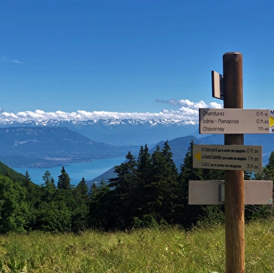 Randonnée pédestre : boucle des alpages du Grand Colombier