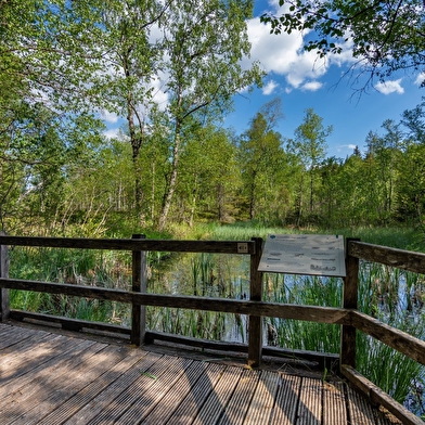 Tourbières de Frasne-Bouverans (Grande boucle - départ Chalet d'accueil)