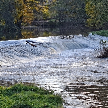 Le Moulin de L'O- L'Orle Nature - SEMUR-EN-AUXOIS