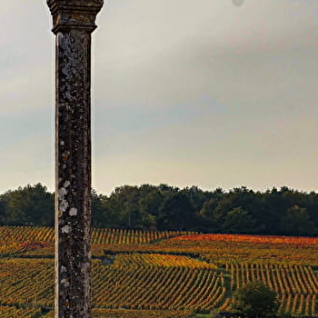 Safari Tours - Tour n°3 Tour prestigieux Le Safari des Grands Crus - BEAUNE