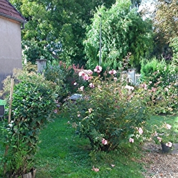 Le Tilleul - MAGNY-LES-AUBIGNY