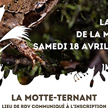 Sortie nature 'La vie de la mare' - LA MOTTE-TERNANT