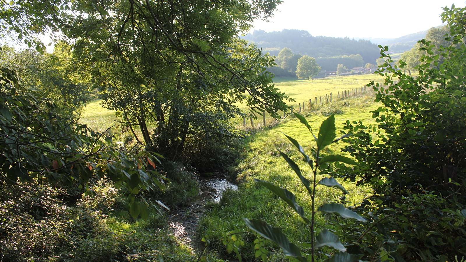 Le Beaujolais - Entre vignes et forêts - Boucle 5.3