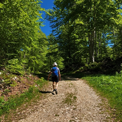 Circuit de randonnée de la Ronde des Plans