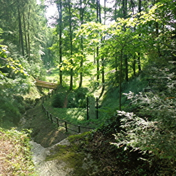 La Maison de la Flore - LONGCHAUMOIS