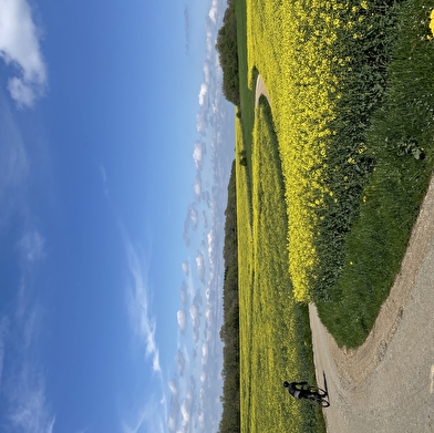 St Vit-fait Bien fait