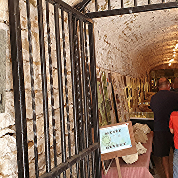 Musée des sciences de la terre Pierre Cretin - DAMPIERRE-SUR-SALON