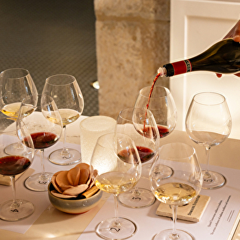 Expérience Découverte du Domaine Evenstad - SANTENAY