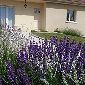 Chambre d'hôtes Chouette21 - PRENOIS