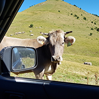 Club 4X4 Évasion 89 - EGRISELLES-LE-BOCAGE
