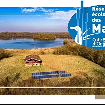 La tombée de la nuit sur la Réserve des Maillys _ENS2026 - LES MAILLYS