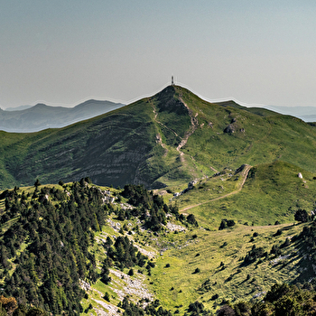 Randonnée pédestre : Crozet au Crêt de la Neige, en haut des cimes du Jura - CROZET