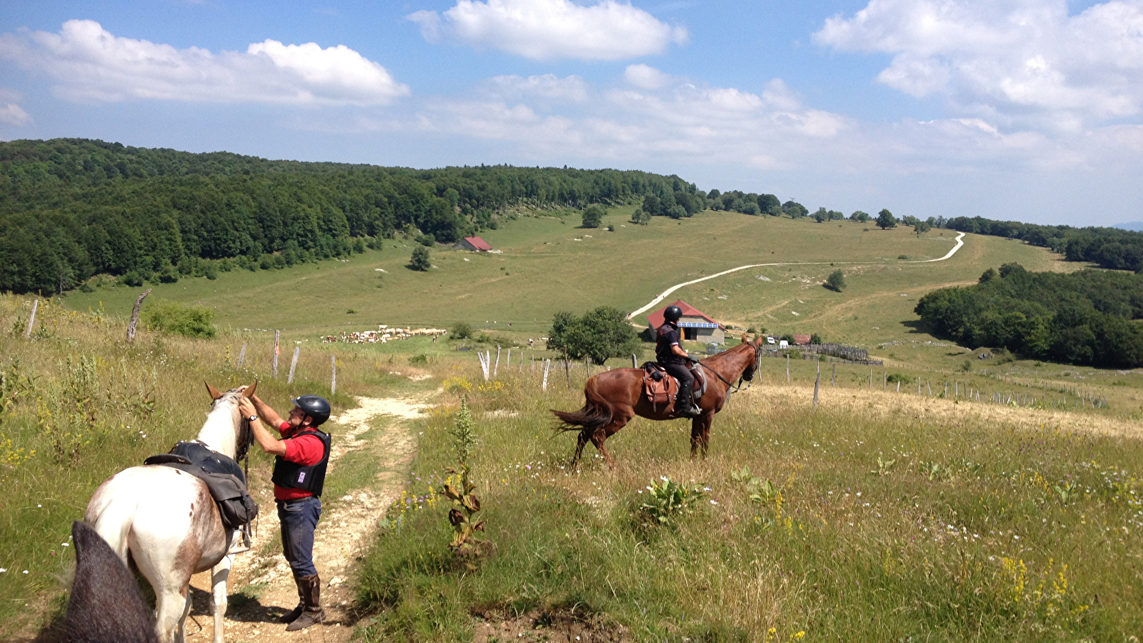 Circuit équestre des Montagnes du Jura et pays du Cerdon