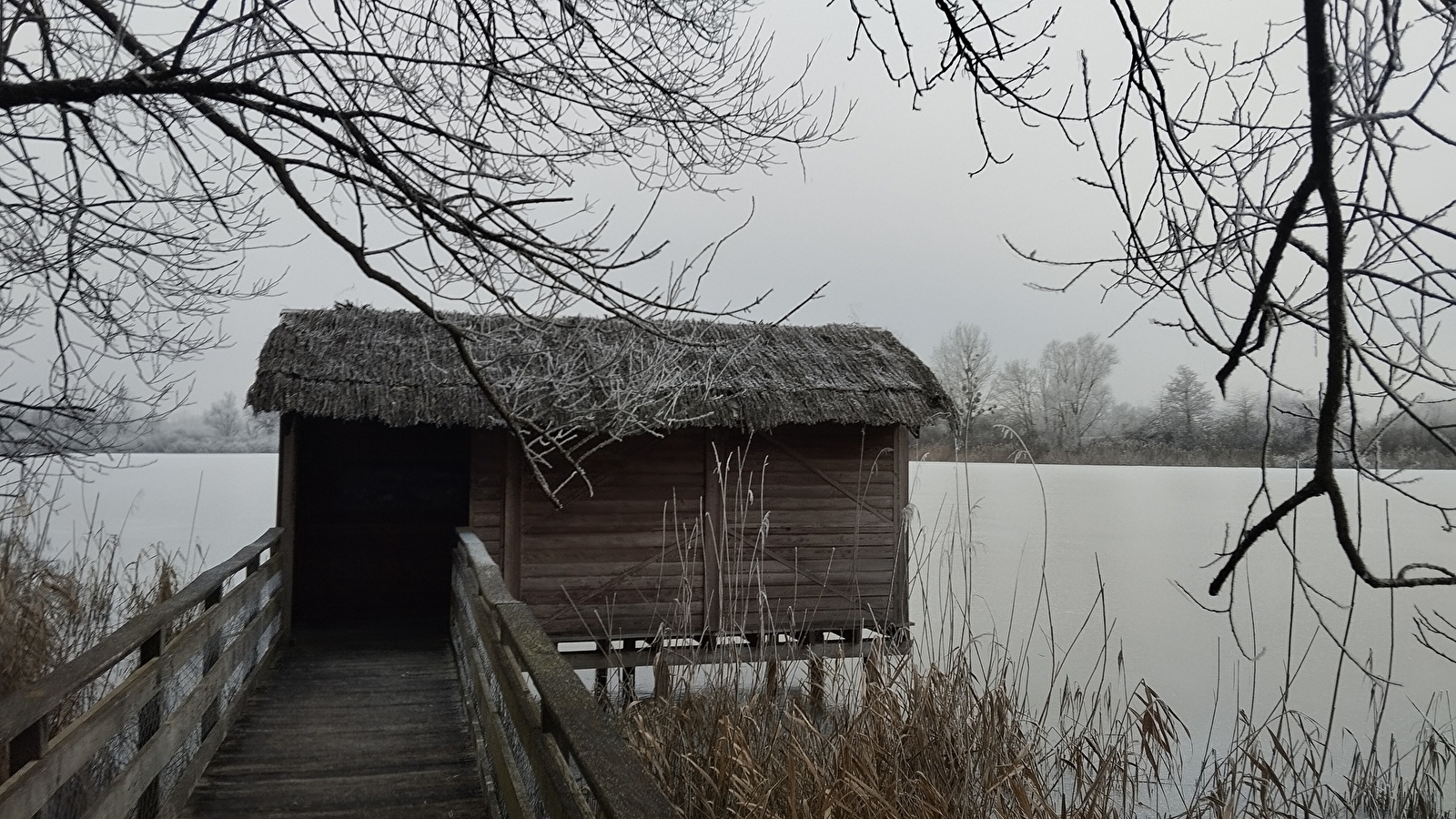 Les oiseaux hivernants de l'étang de Pontoux
