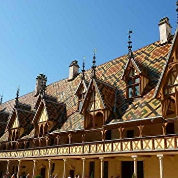 Escapades dans le vignoble - Circuit Charme - 1/2 journée - DIJON