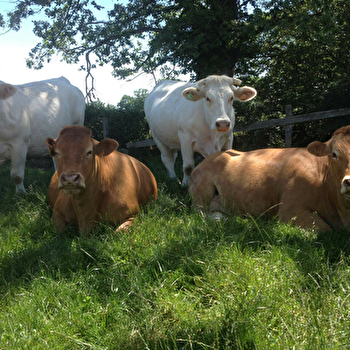 Gaec du Val des Prés - SAINT-CHRISTOPHE-EN-BRIONNAIS