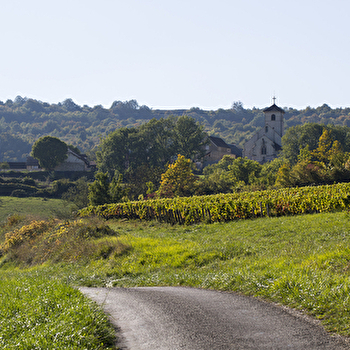 Chemin des Sources de l'Ouche - BLIGNY-SUR-OUCHE