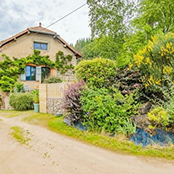 la Glycine - MONTMELARD