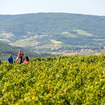 Les sentiers belles vues - Saint-Amour-Bellevue - SAINT-AMOUR-BELLEVUE