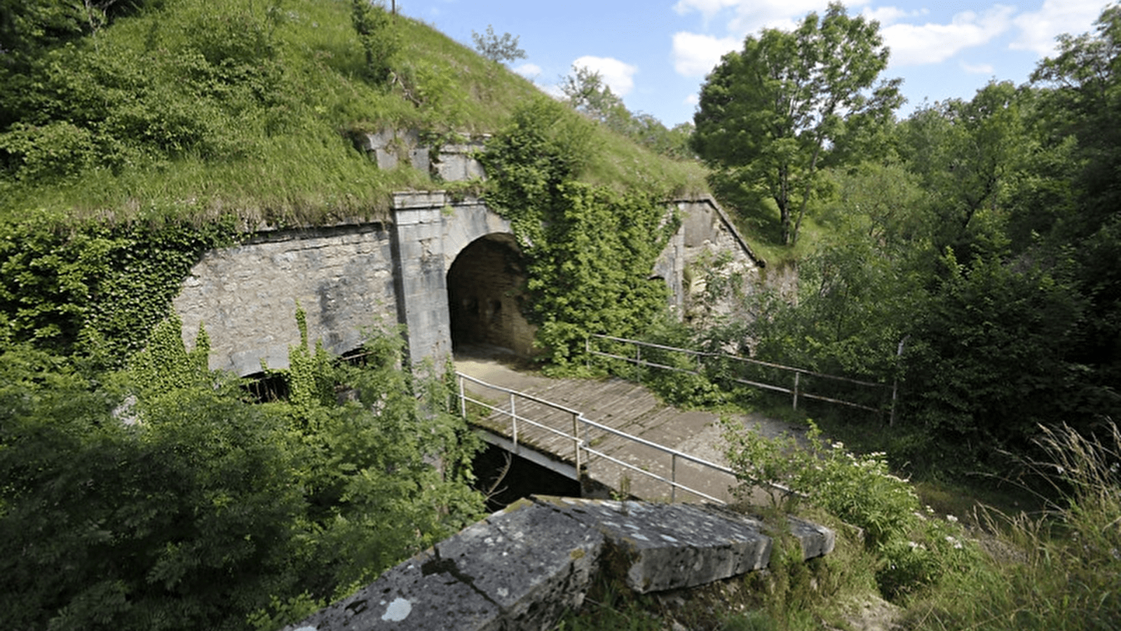 Dame Blanche et Vieux Tilleul