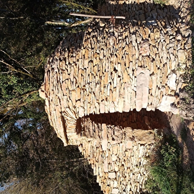 Chemin des curiosités